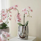 description_selected4