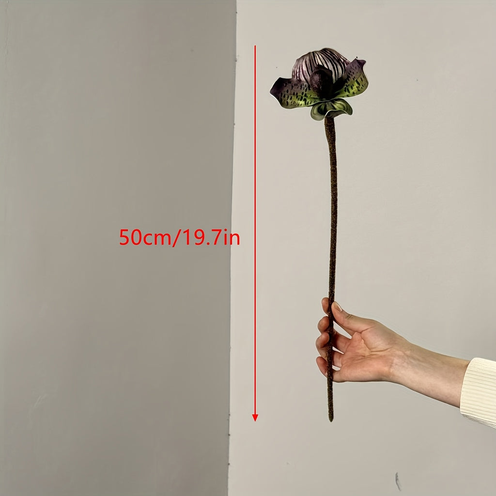 description_selected2