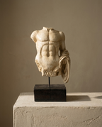 Roman Torso Sculpture in aged cream resin with draped cloth, mounted on a dark wood block on a plaster plinth