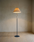 Pleated Floor Lamp with a pleated shade on a curved brass stem and slim dark pole, lit in a bare room with oak flooring
