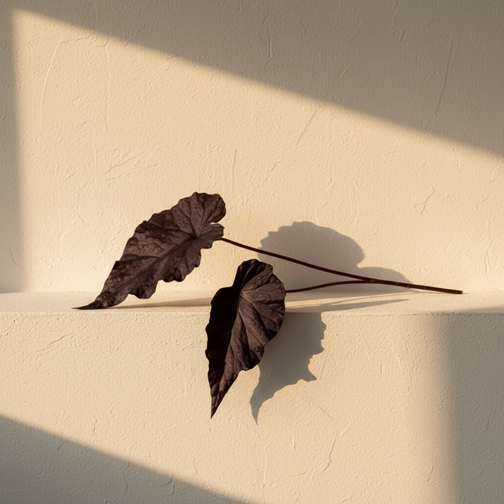 Preserved oxblood leaves on long bare stems laid on plaster